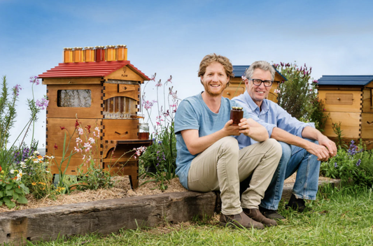 Explosion of Flow Hives Creates Demand for Wildflower Seeds