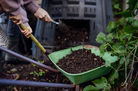 Composting at Home: The Key to Healthy Soil and Thriving Wildflowers