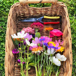 466783840_1094273099095562_4299572127960658810_n.heic__PID:3d375d9b-5a97-40d0-a540-3bd23c3065e4