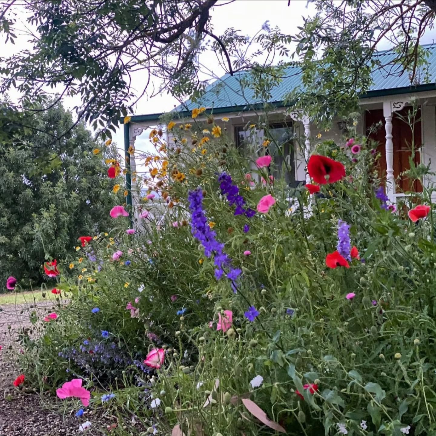 A colourful meadow set infront of a cottage garden studio