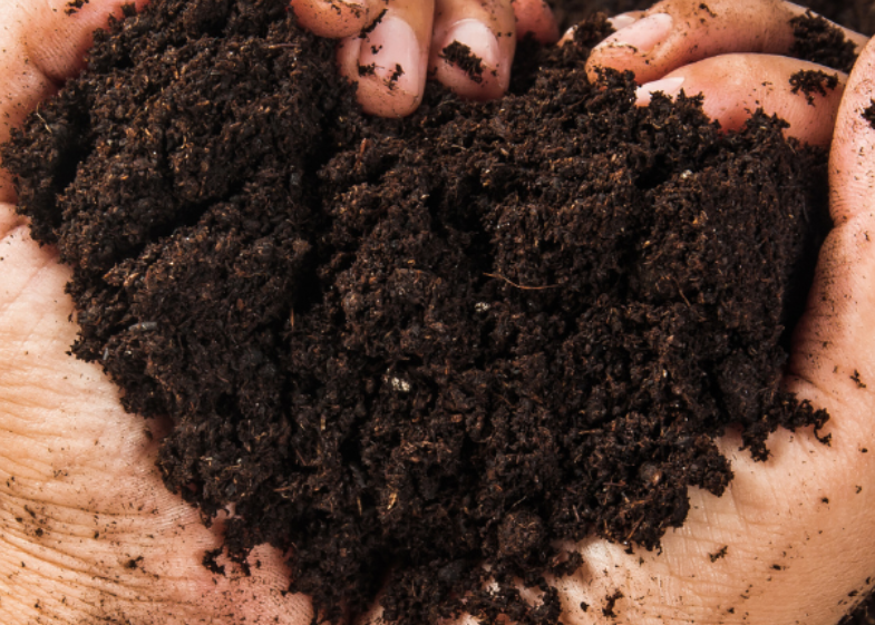 Hands holding a heart-shaped pile of soil against a dark background