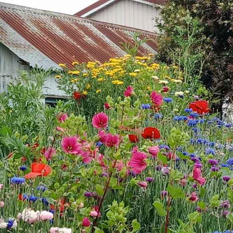 A beautiful view of pink, purple, red, yellow and blue wildflowers surrounded by lush green grass.