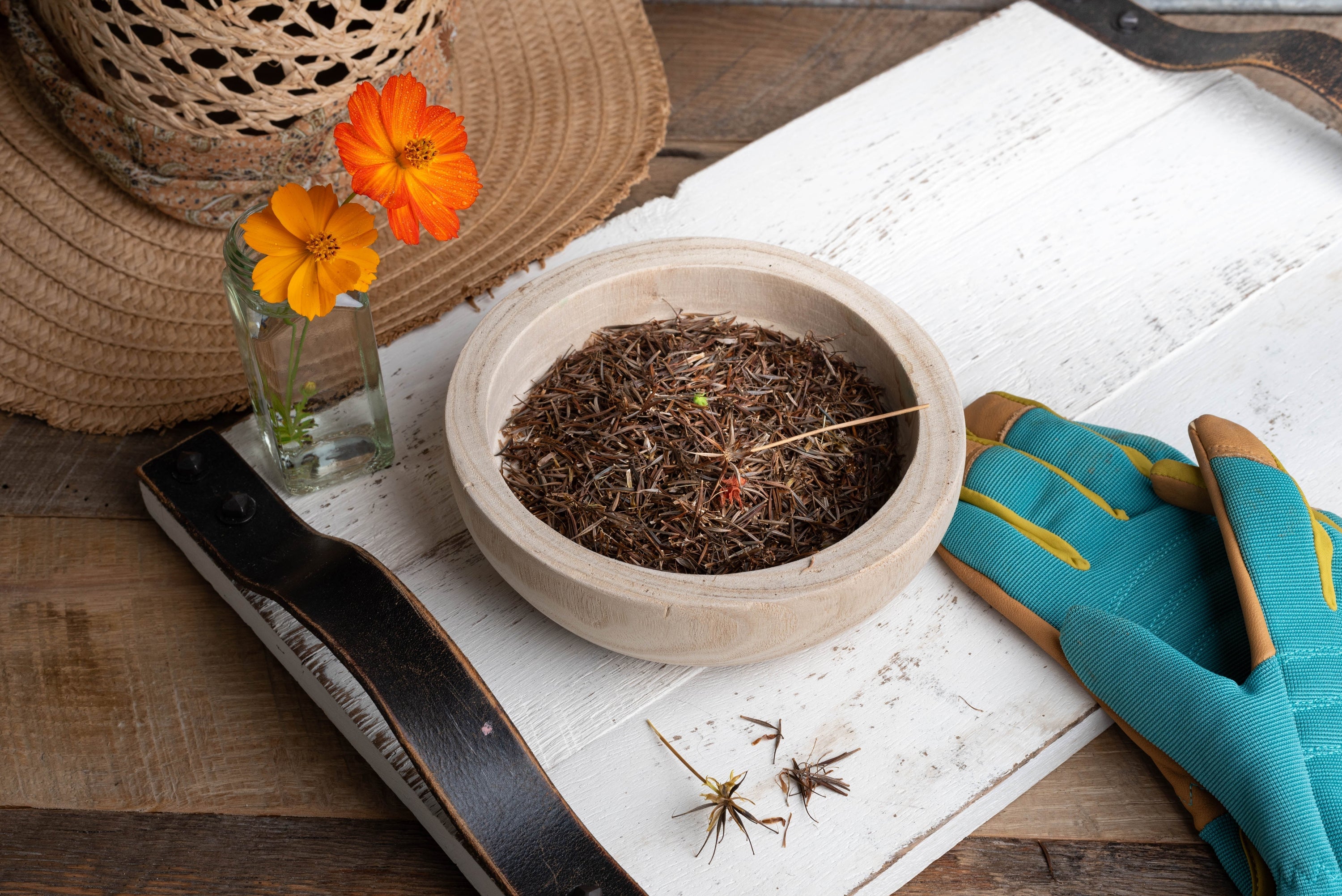 How To Save Seeds From Your Garden: A Step-by-Step Guide