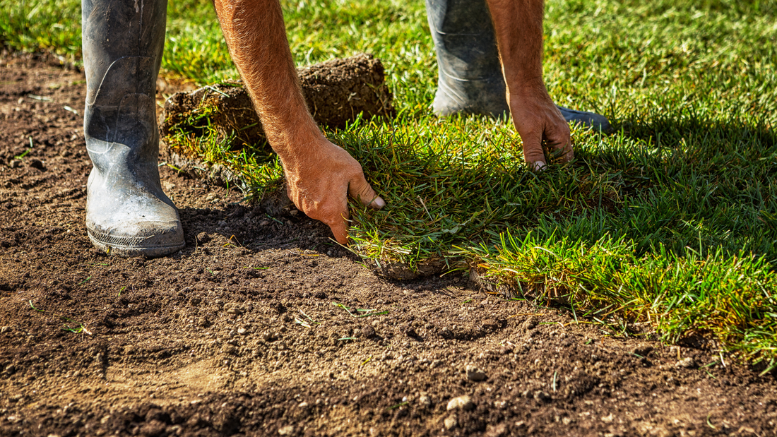 Your Guide to Getting Rid of Grass and Weeds