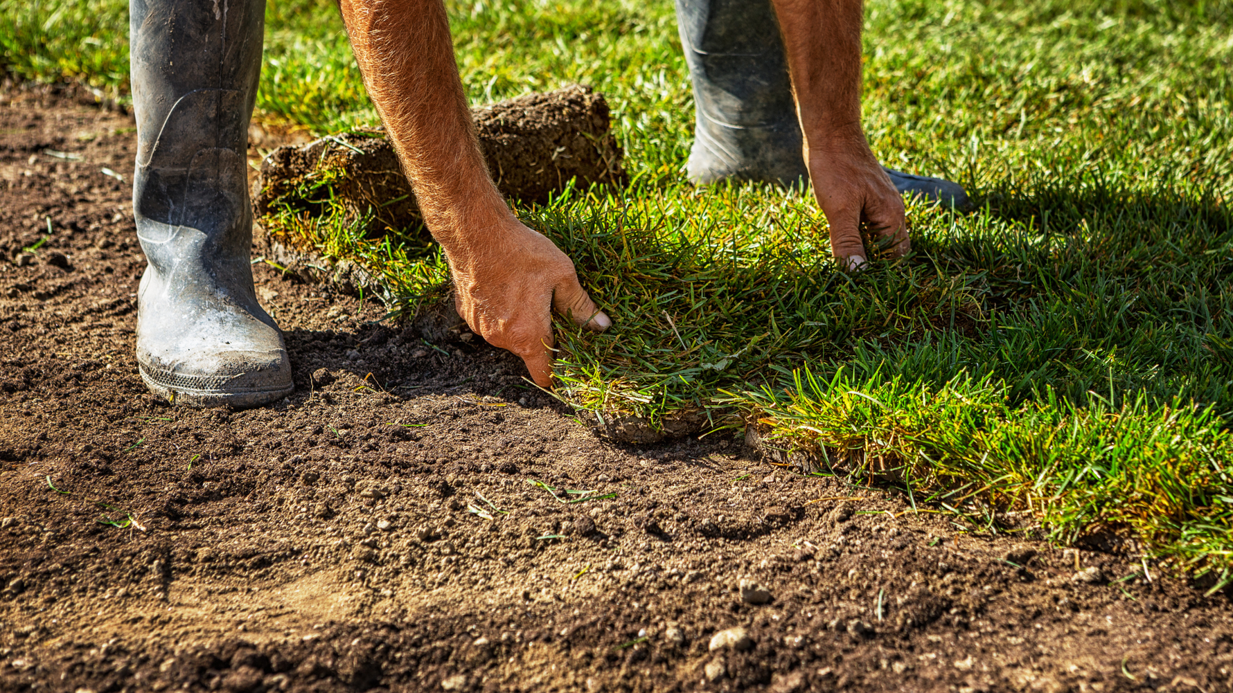 How to Prepare Your Soil