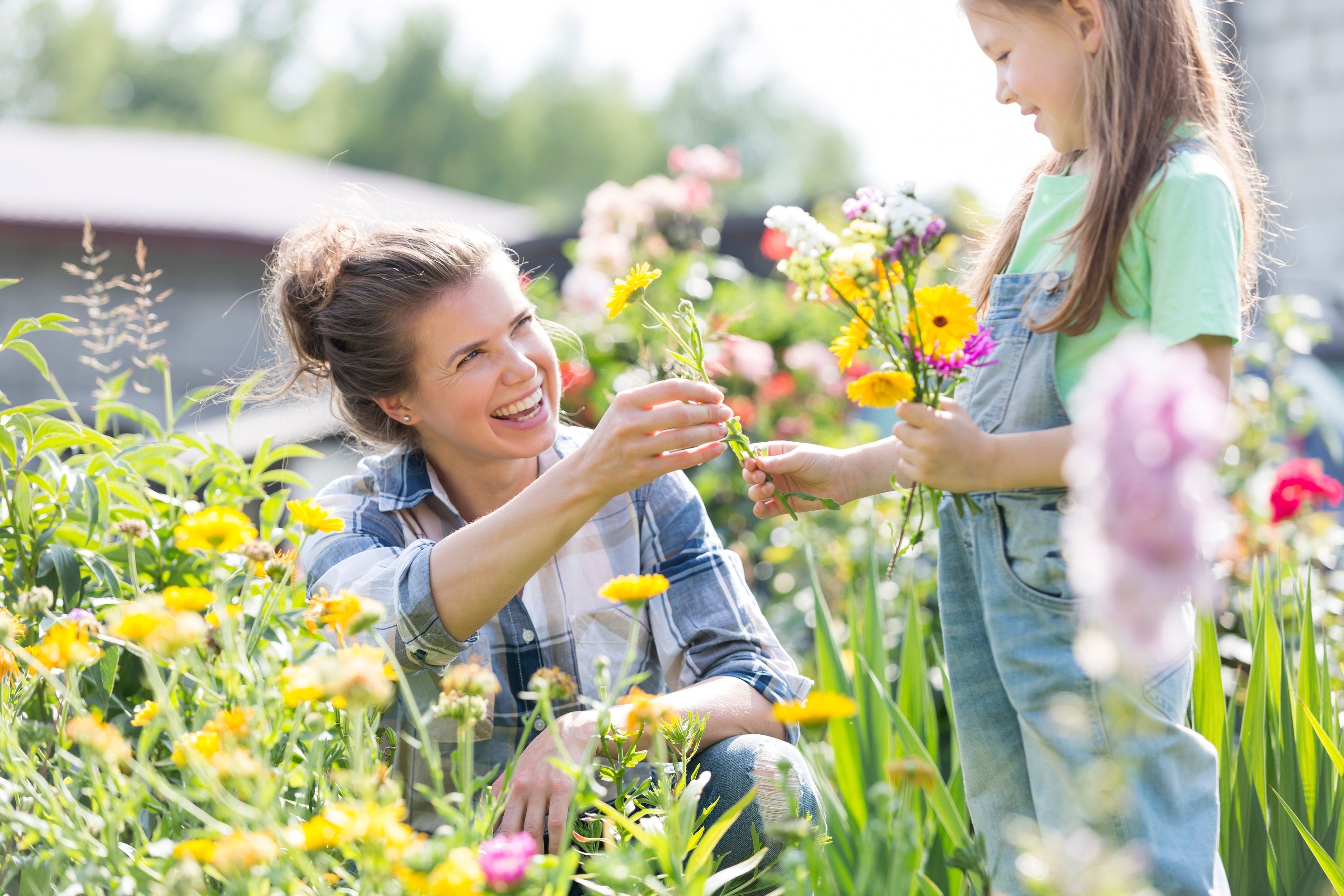 Gardening for Stress Relief with Wildflower Meadows