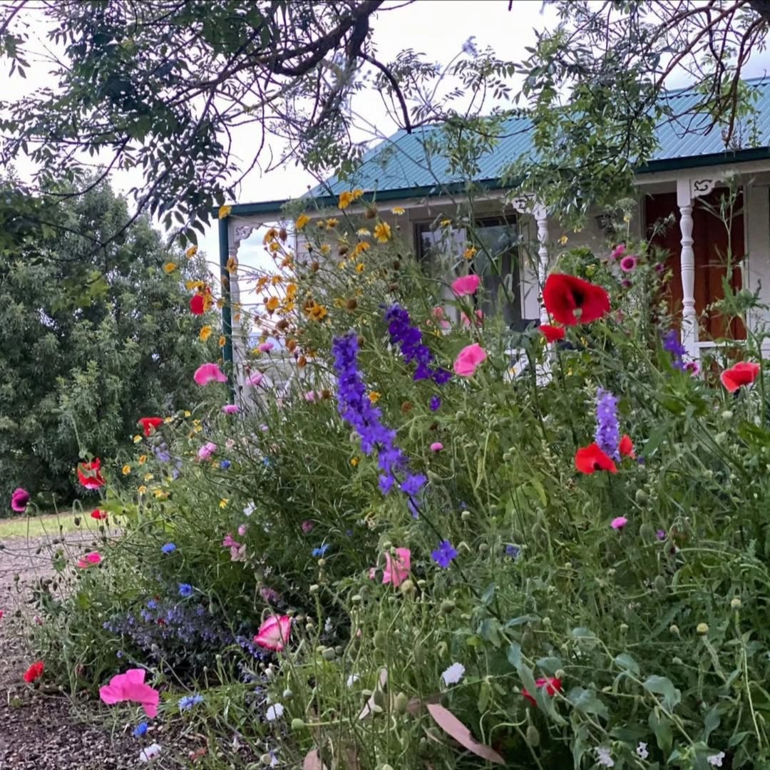 Wildflower Seed Mixes