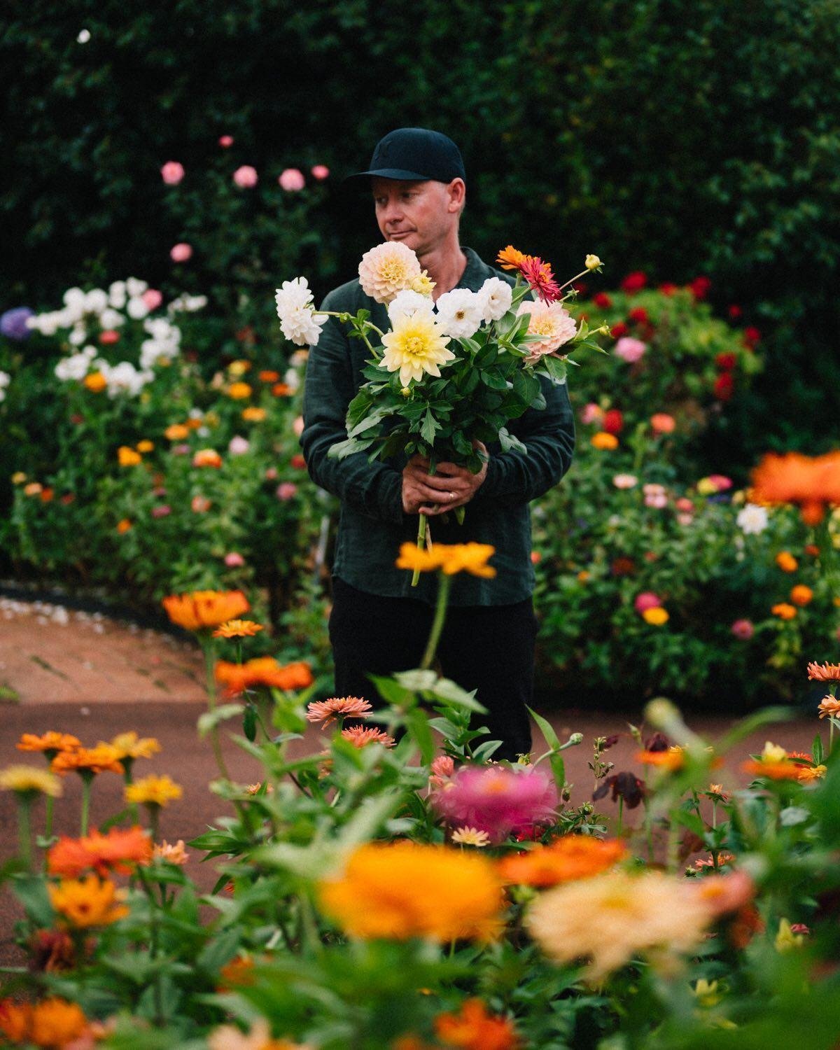 Fragrant Garden Flower Seeds