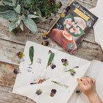 Pressed flowers and leaves on a piece of paper with a book titled 'wild imagination' in the background.