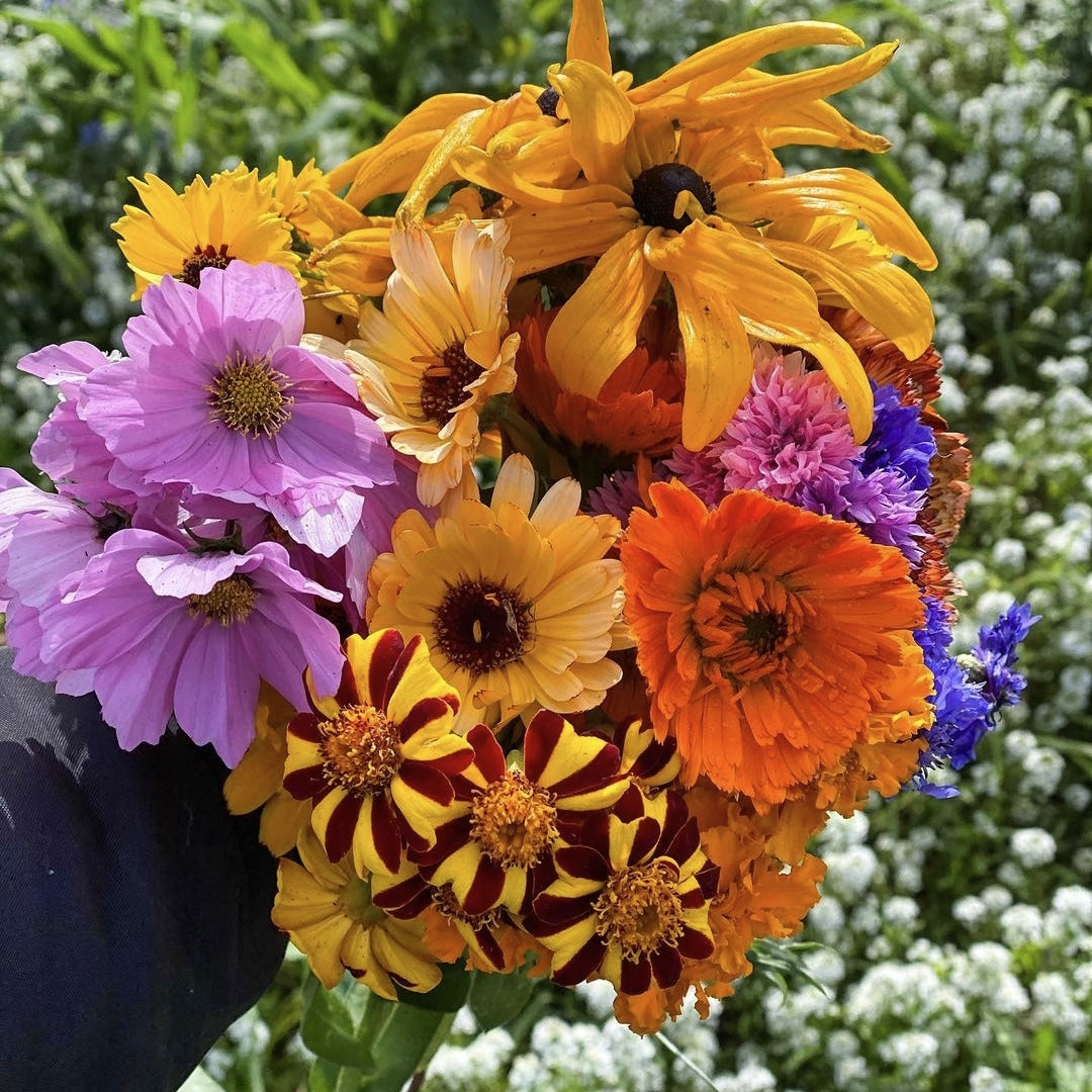 Cut Flowers Bundle (3 x 3grams)