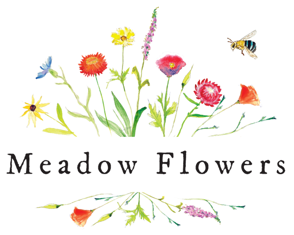 Meadow Flowers Australia