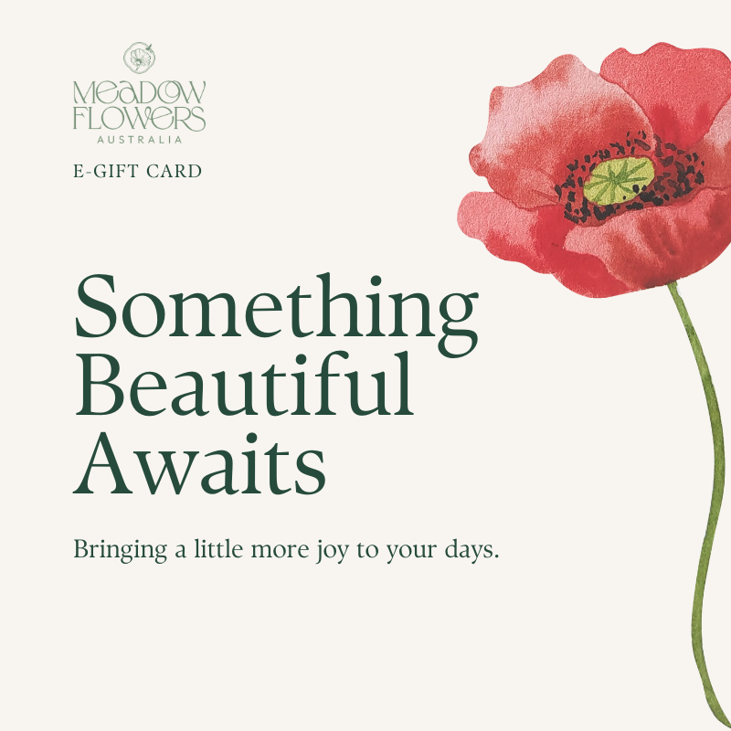 Meadow Flowers Gift Card