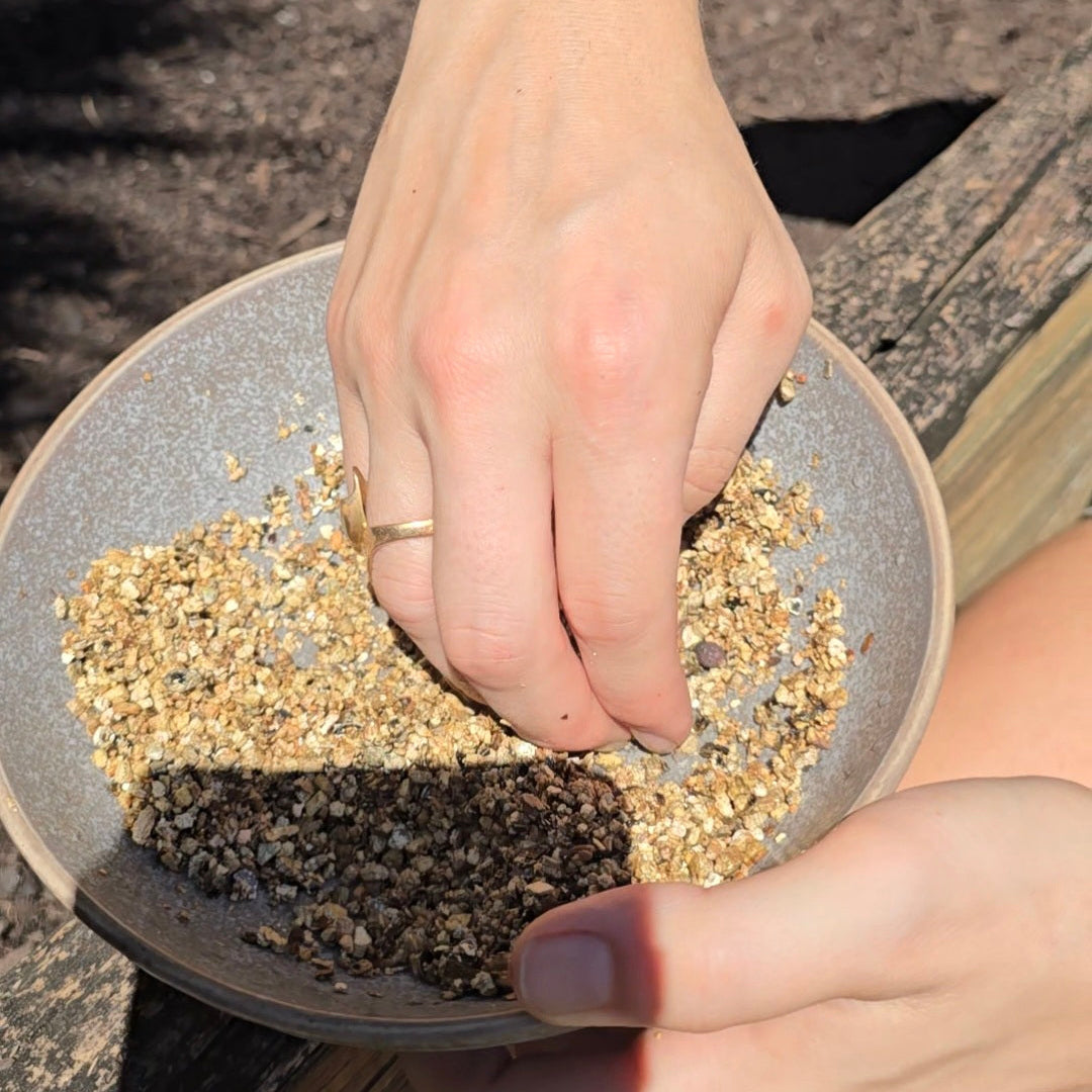 Person holding a small dish with soil and seeds, outdoors.