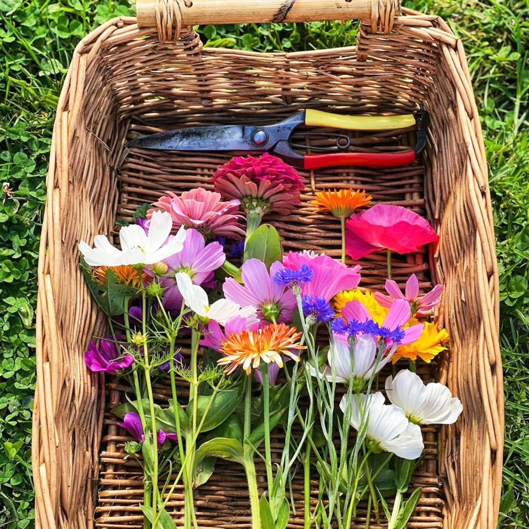 Wicker basket filled with colorful flowers and gardening tools on grass
