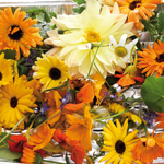 Bouquet of colourful, edible flowers, including nasturtiums and pot marigolds.
