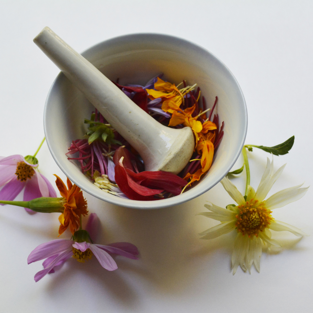 Mortar and pestle with dried flowers on a white background