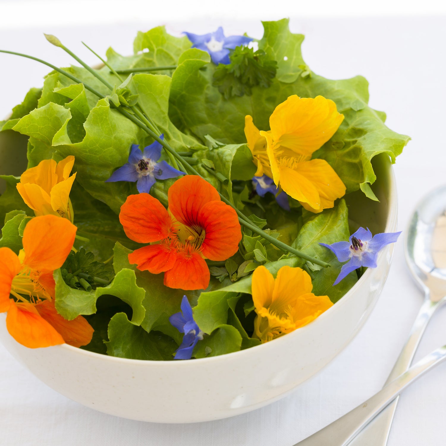 Bowl of salad with edible flowers on a white background