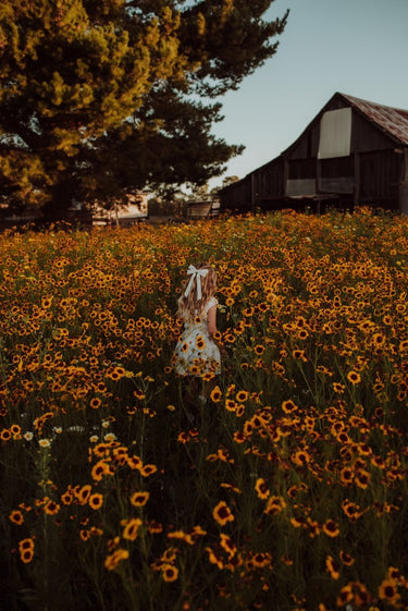 girl walking through the meadow.jpg__PID:16172579-a17a-4d9a-8b5e-0ad401a2fae0