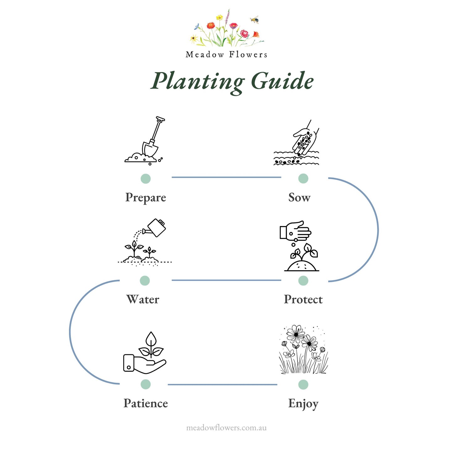 Illustrated planting guide detailing preparation, sowing, watering, protection, and enjoyment steps.