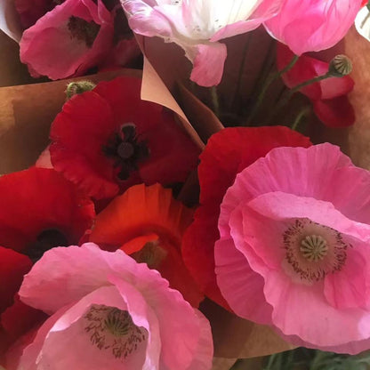 bouquets of pink and red poppies wrapped in kraft paper