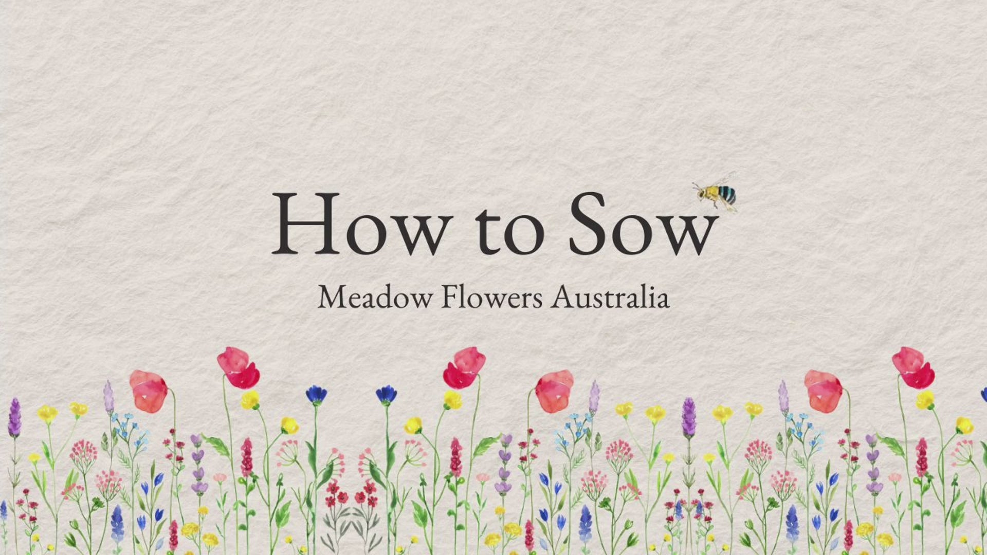 Bee Friendly Wildflower Seeds | Meadow Flowers Australia