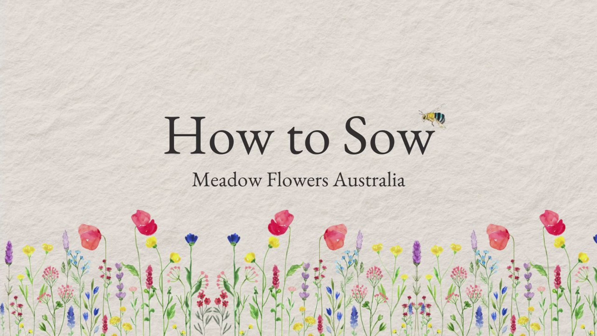 Load video: Video that shows how to show Meadow Flowers seeds