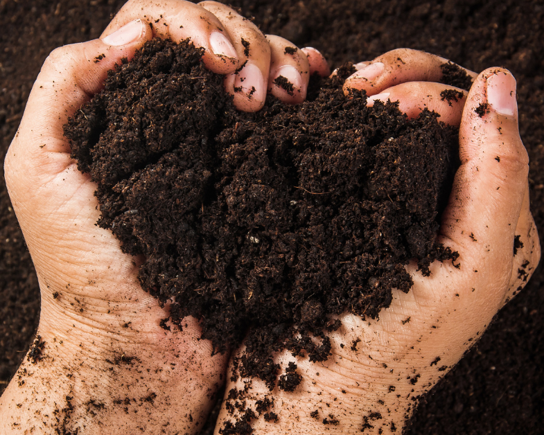 Hands holding a heart-shaped pile of soil against a dark background