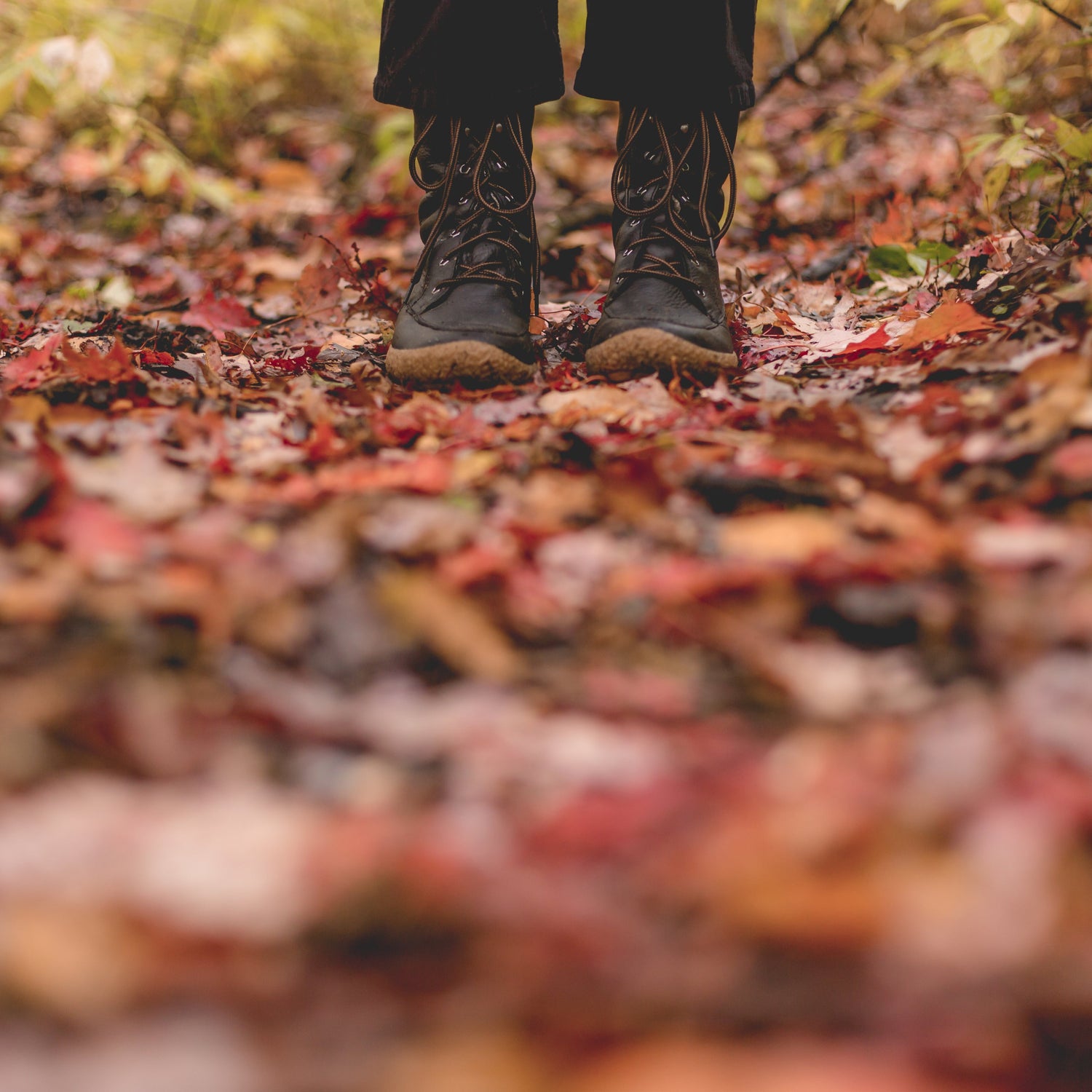 Autumn Meadow Bundle (3 x 5grams)
