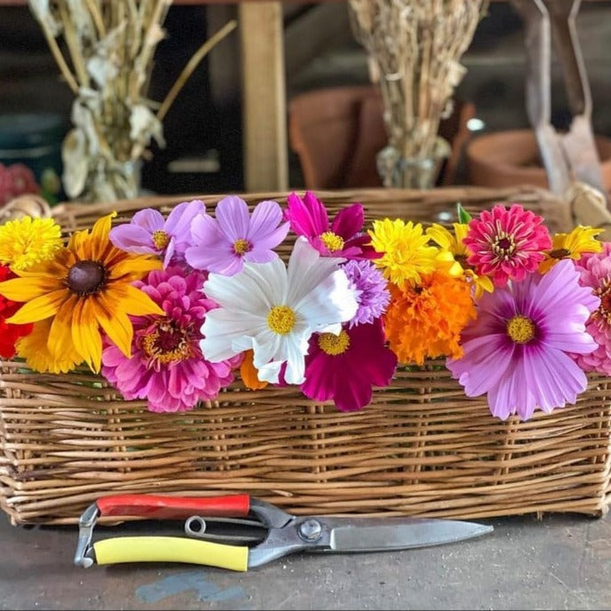 A colourful and vibrant mix of wildflowers in a woven basket, with a hand pruner resting in front of it.