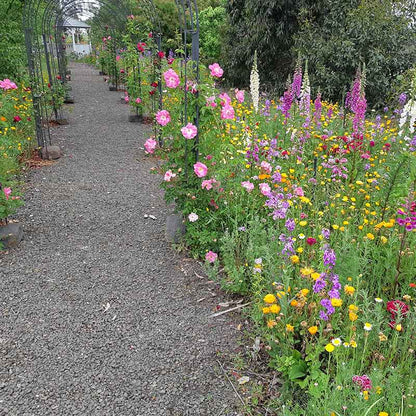 A lush green garden featuring a pathway with arches, lined by a vibrant assortment of vivid wildflowers in shades of pink, purple, orange, and yellow.