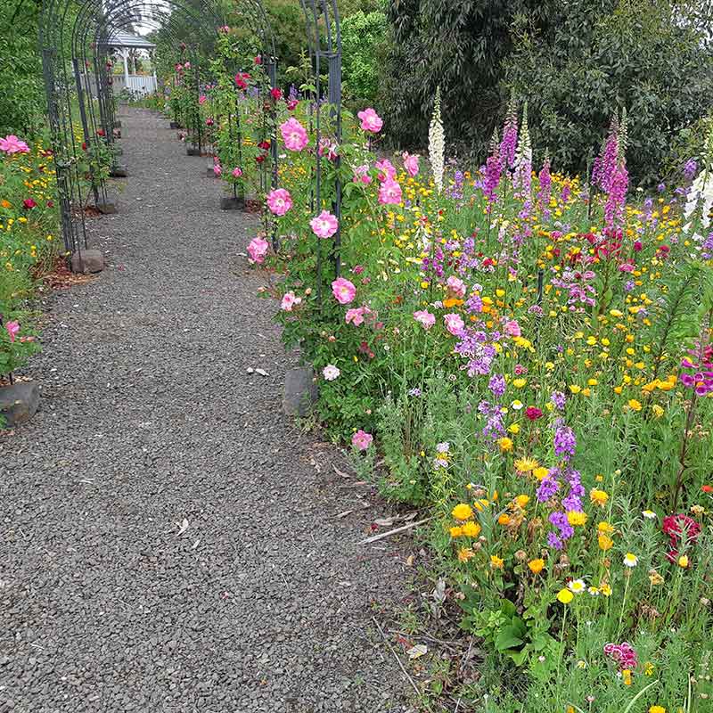 A lush green garden featuring a pathway with arches, lined by a vibrant assortment of vivid wildflowers in shades of pink, purple, orange, and yellow