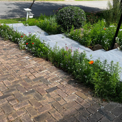 A view of wildflowers planted alongside a driveway surrounded by lush green grass.